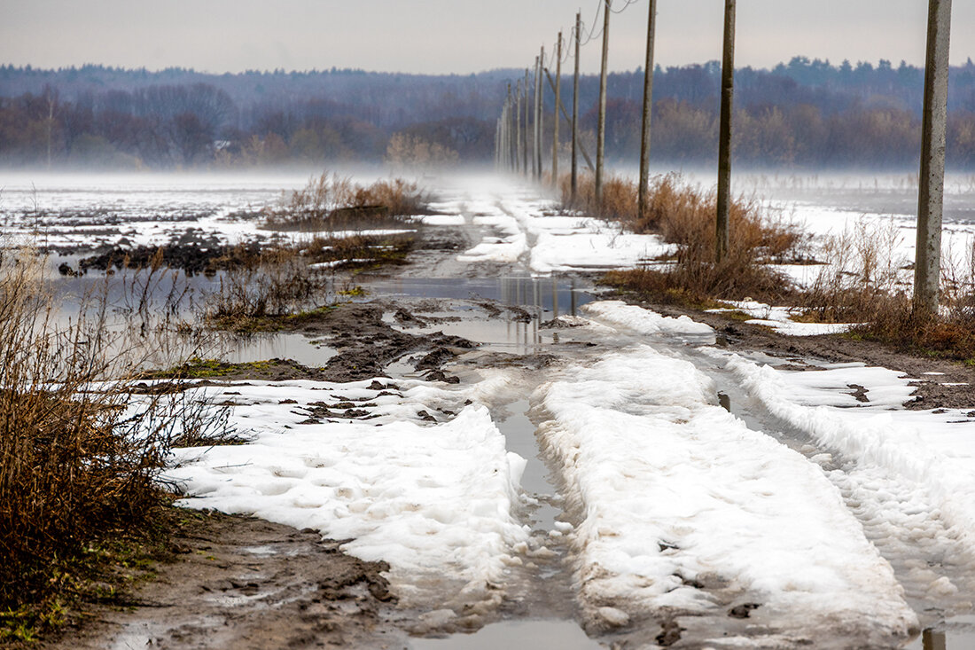 Весна. К Оке. - Алексей Окунеев