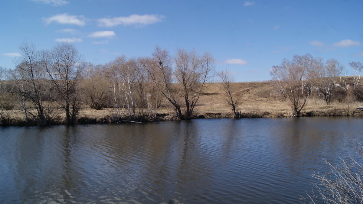 Местная речка в апреле. - сергей ермошкин