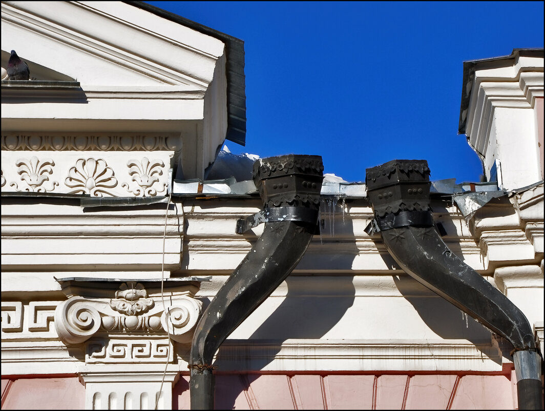 Кавказский тост - **** vedin