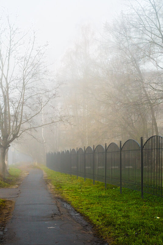 Туманное утро - Dar(k) Life