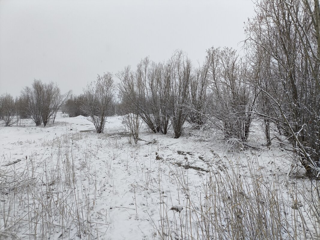 Снегопад - Anna Ivanova