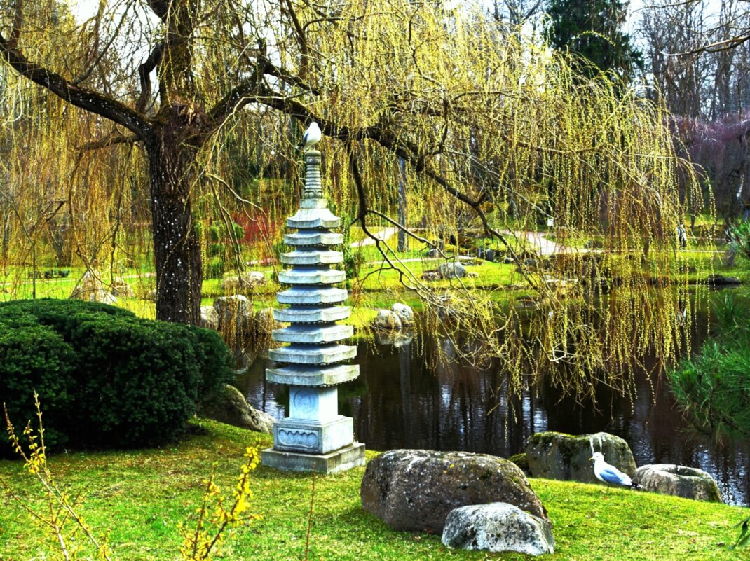 Весна в Японском саду Кадриорга - Aida10 