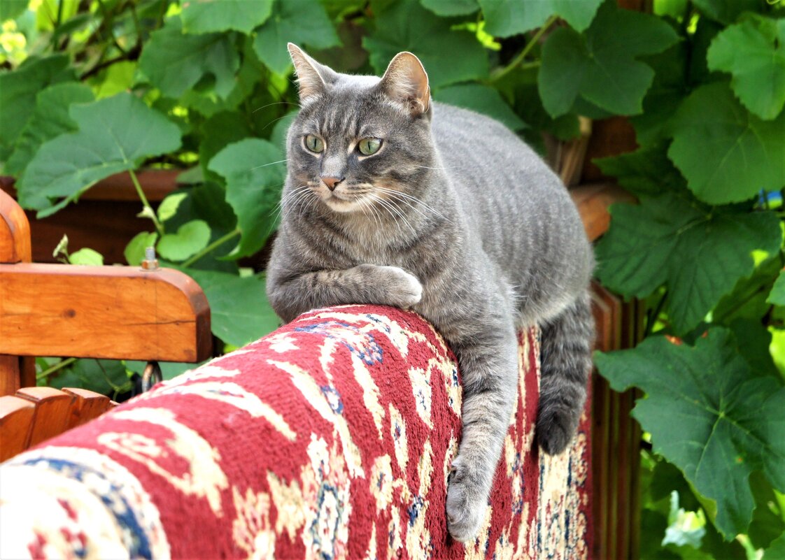 Удобно устроился - Viktor Odysey