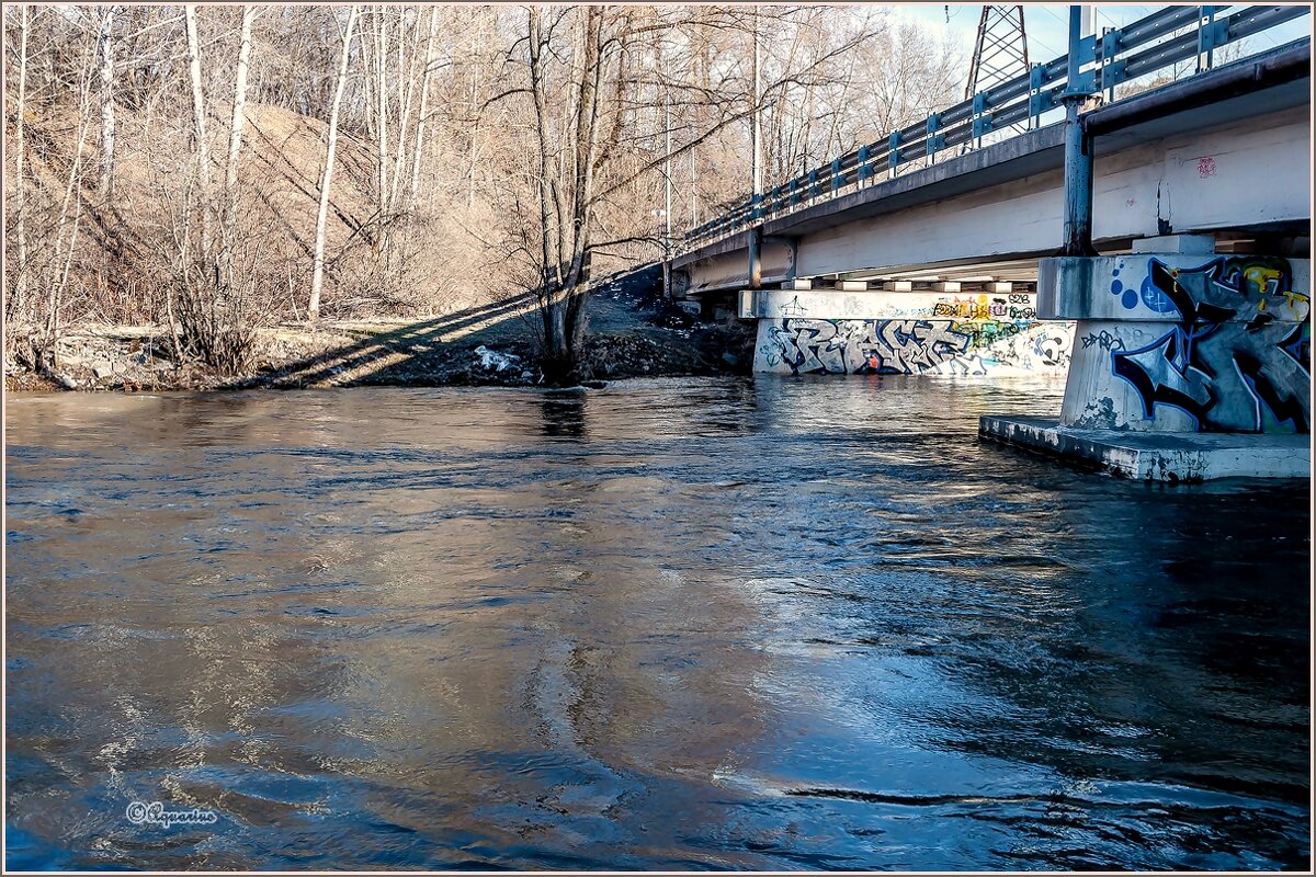 Весенние воды... - Aquarius - Сергей