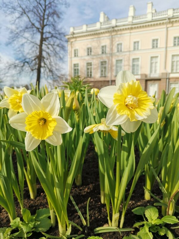 Екатерининский парк, г.Пушкин - Марина Щуцких