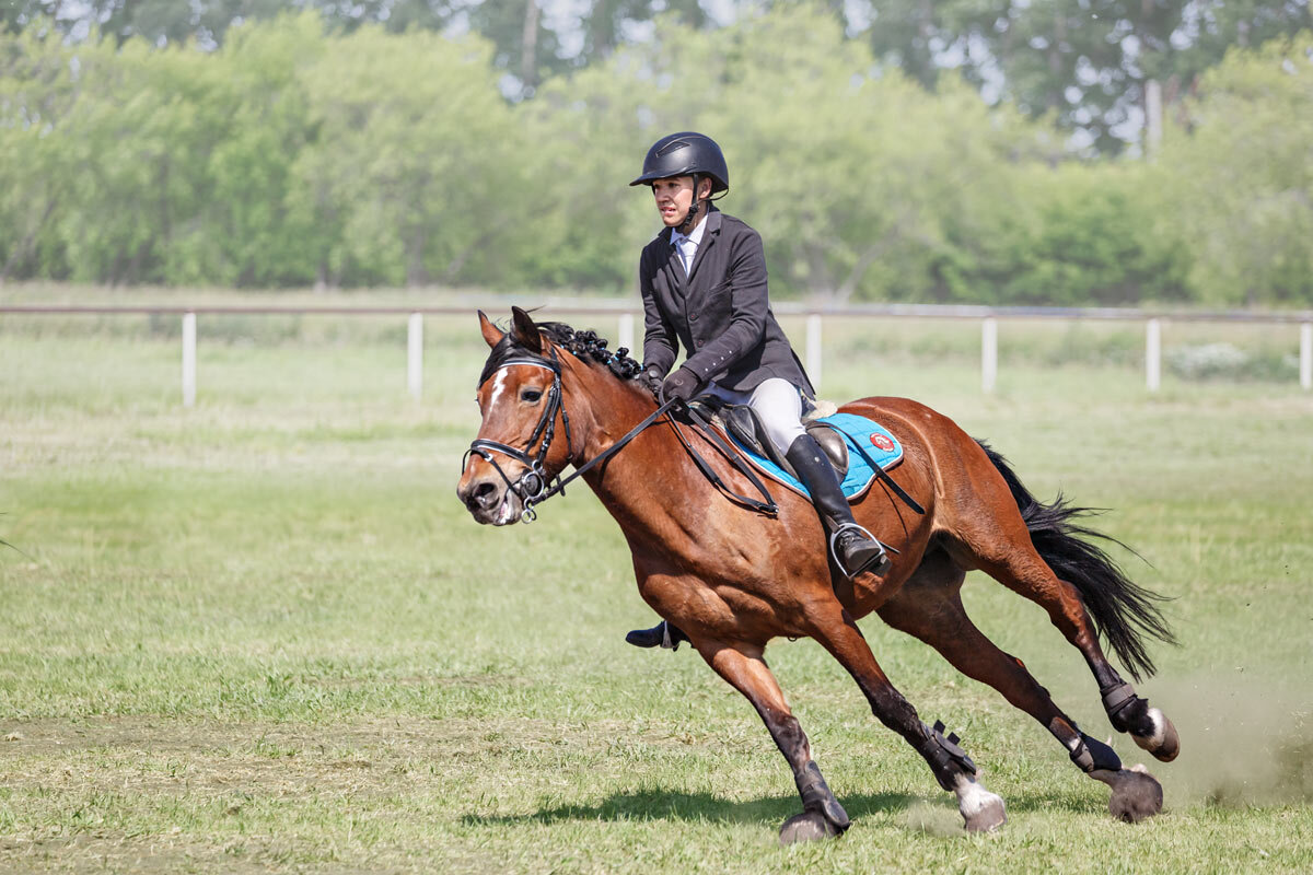 Конкур - SanSan 