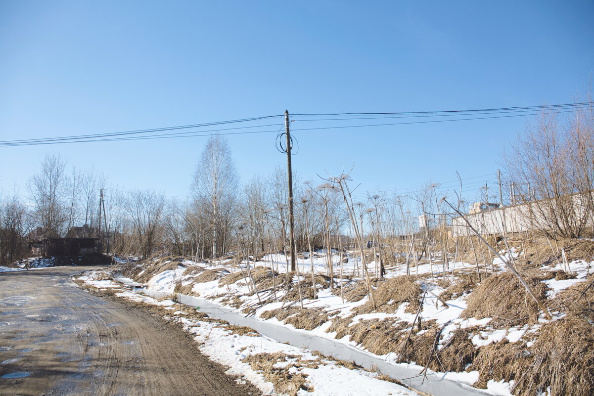 Фотография - Денис Безногов