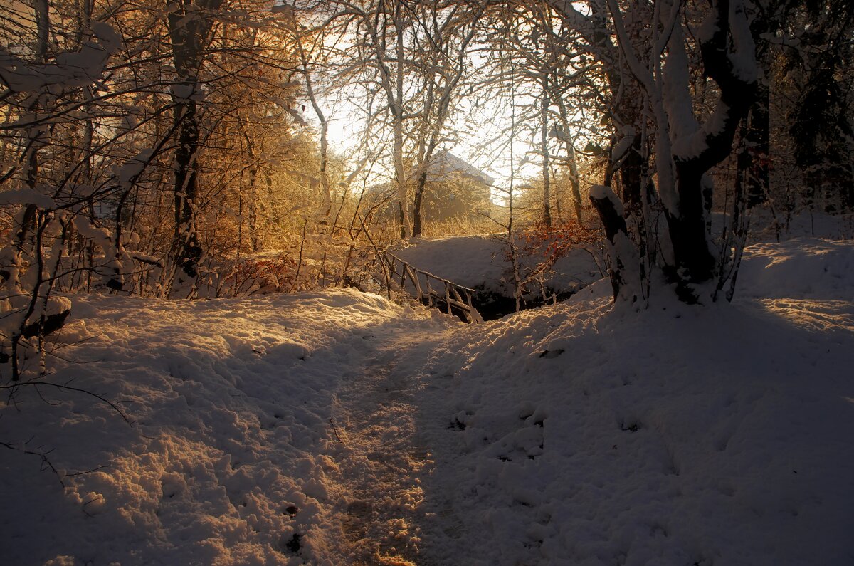 Первый снег - Виктор 