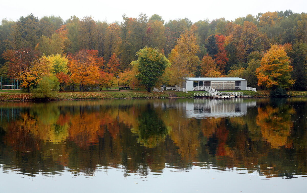 Царицыно 7 октября - Михаил Бибичков
