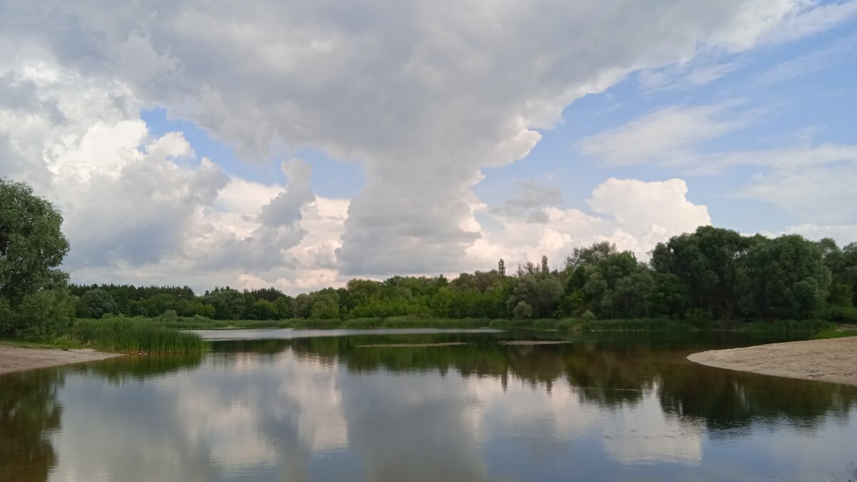 за городом - Елена Шаламова