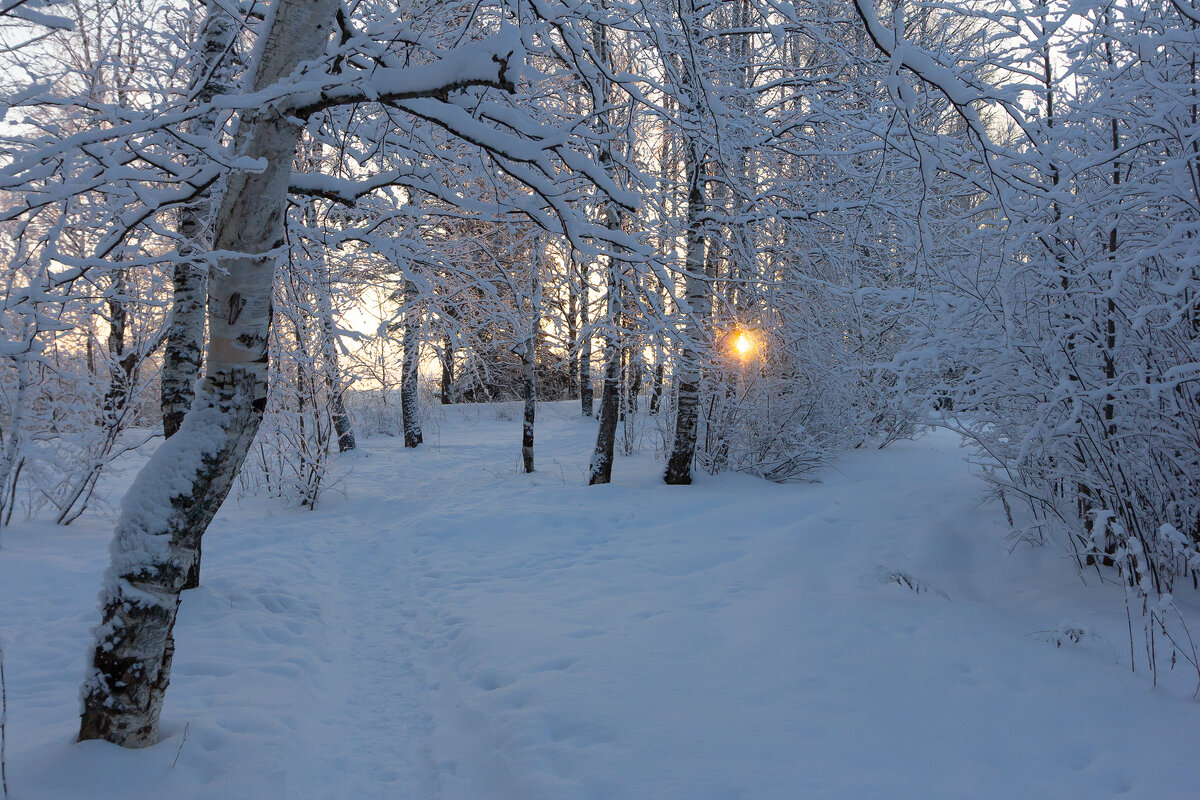 *** - Андрей Дурапов