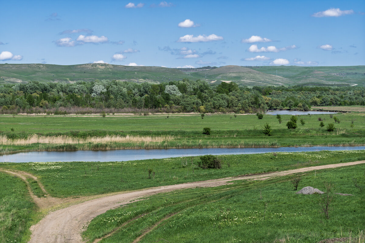 Мои любимые окрестности - Игорь Сикорский