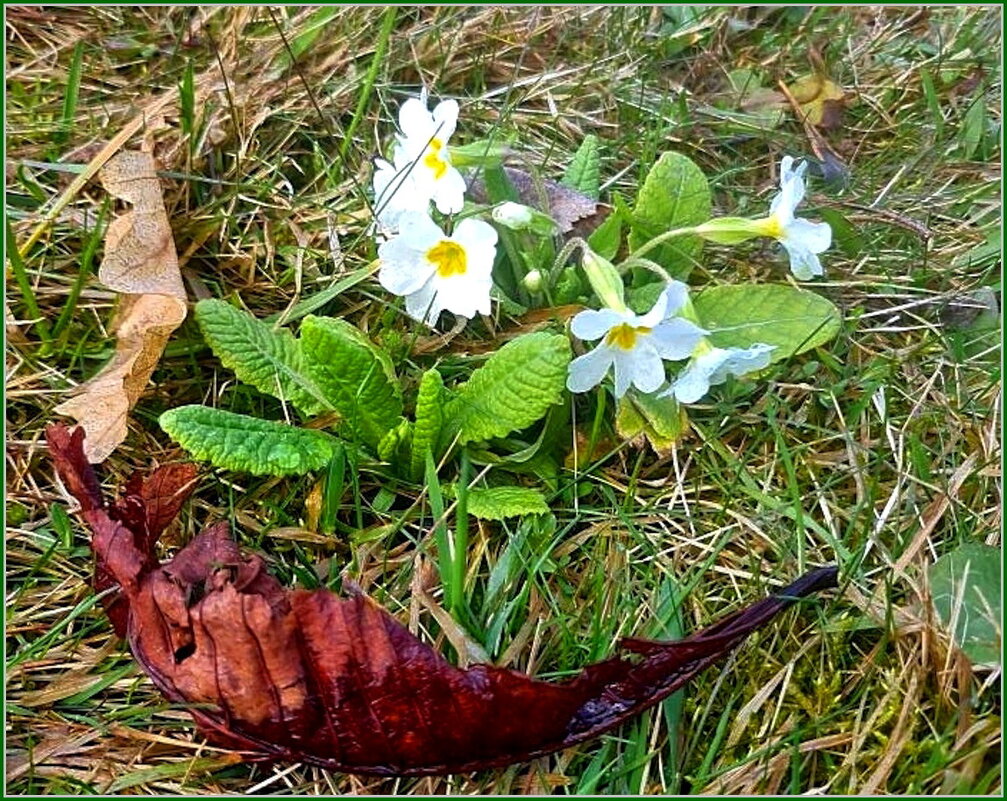 Ключи от рая - Ольга Довженко