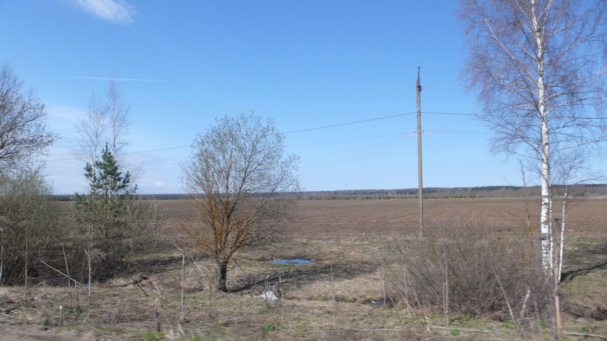 Весенний вид. - Михаил Елочкин