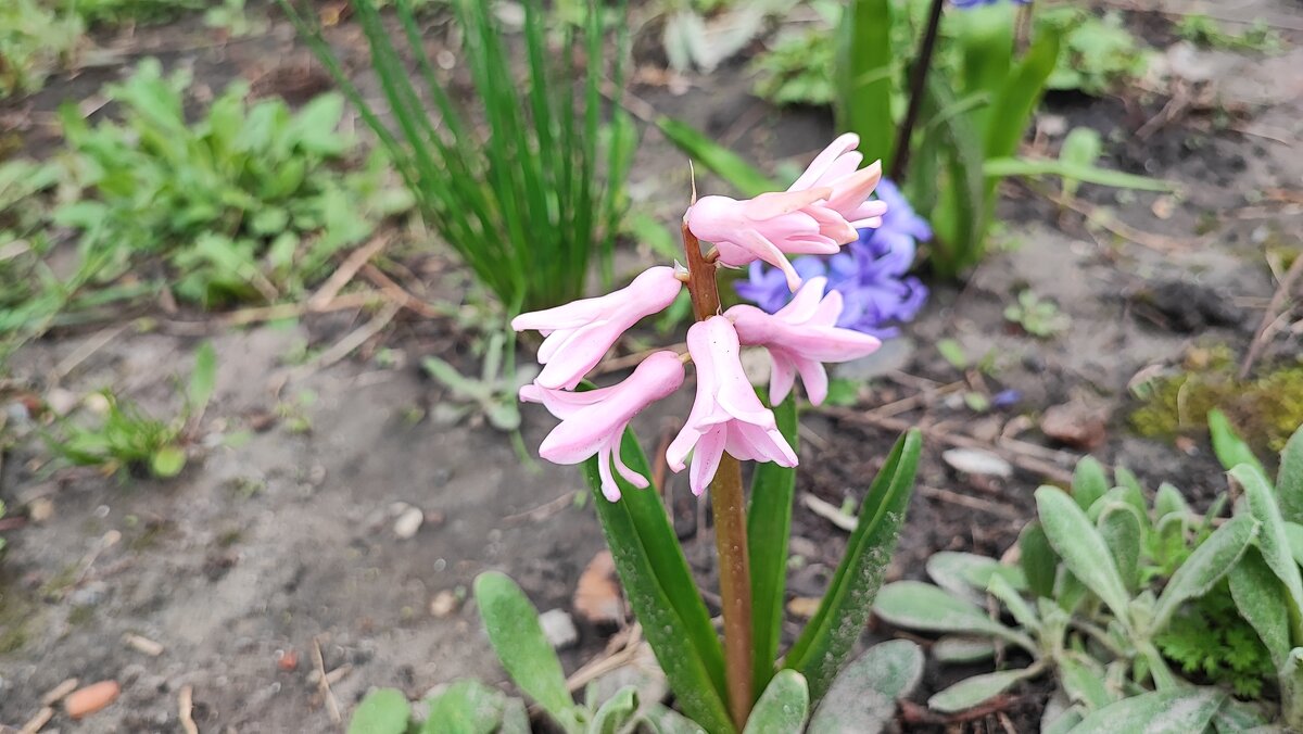 ,,, - Сергей Тимоновский