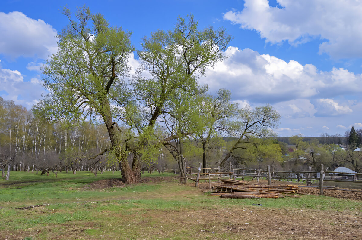 Ясная Поляна - Олег Подлесных