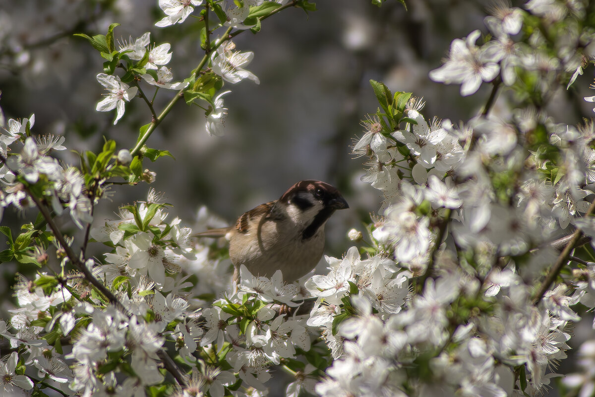 *** - Александр. AVG100 ---