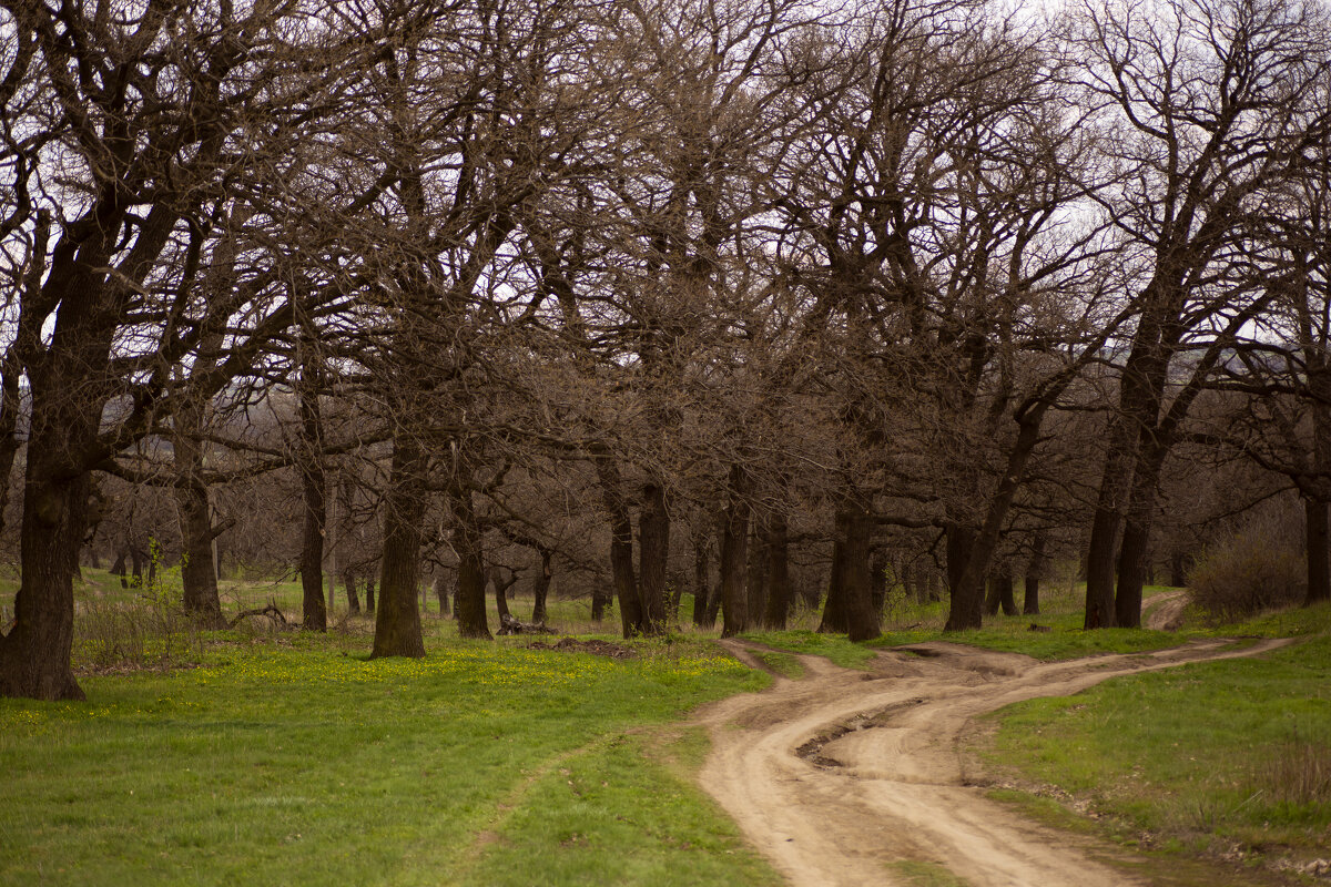 *** - Яна Горбунова