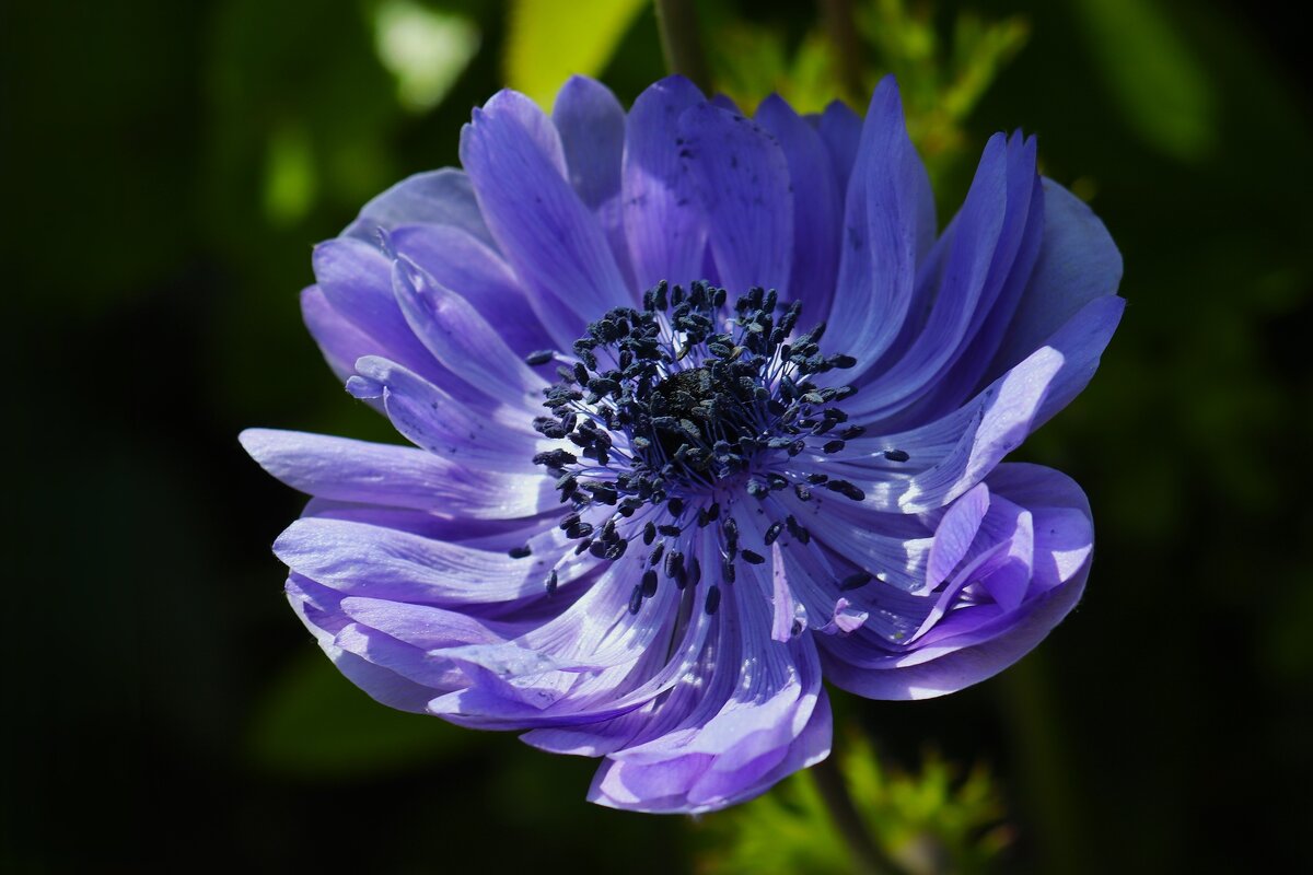 Добрый день - Юрий. Шмаков