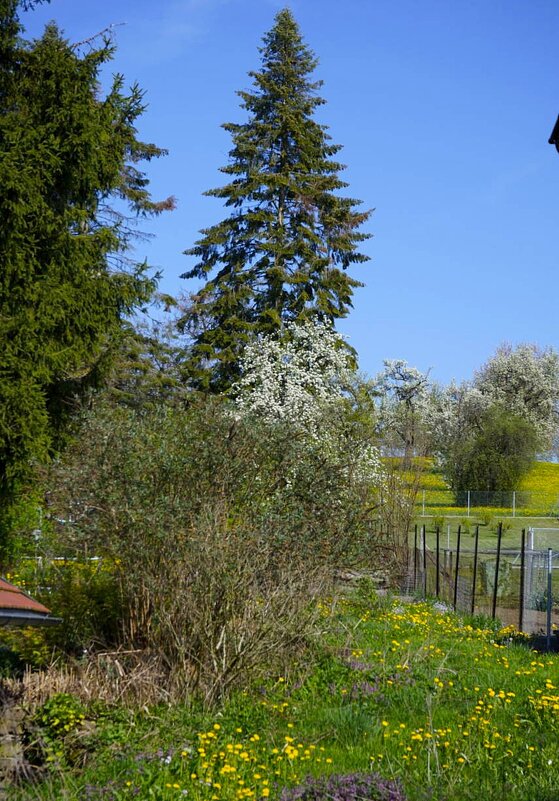 За окном весна - Sergej 