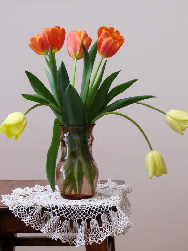 Тюльпаны... - Татьяна Гнездилова