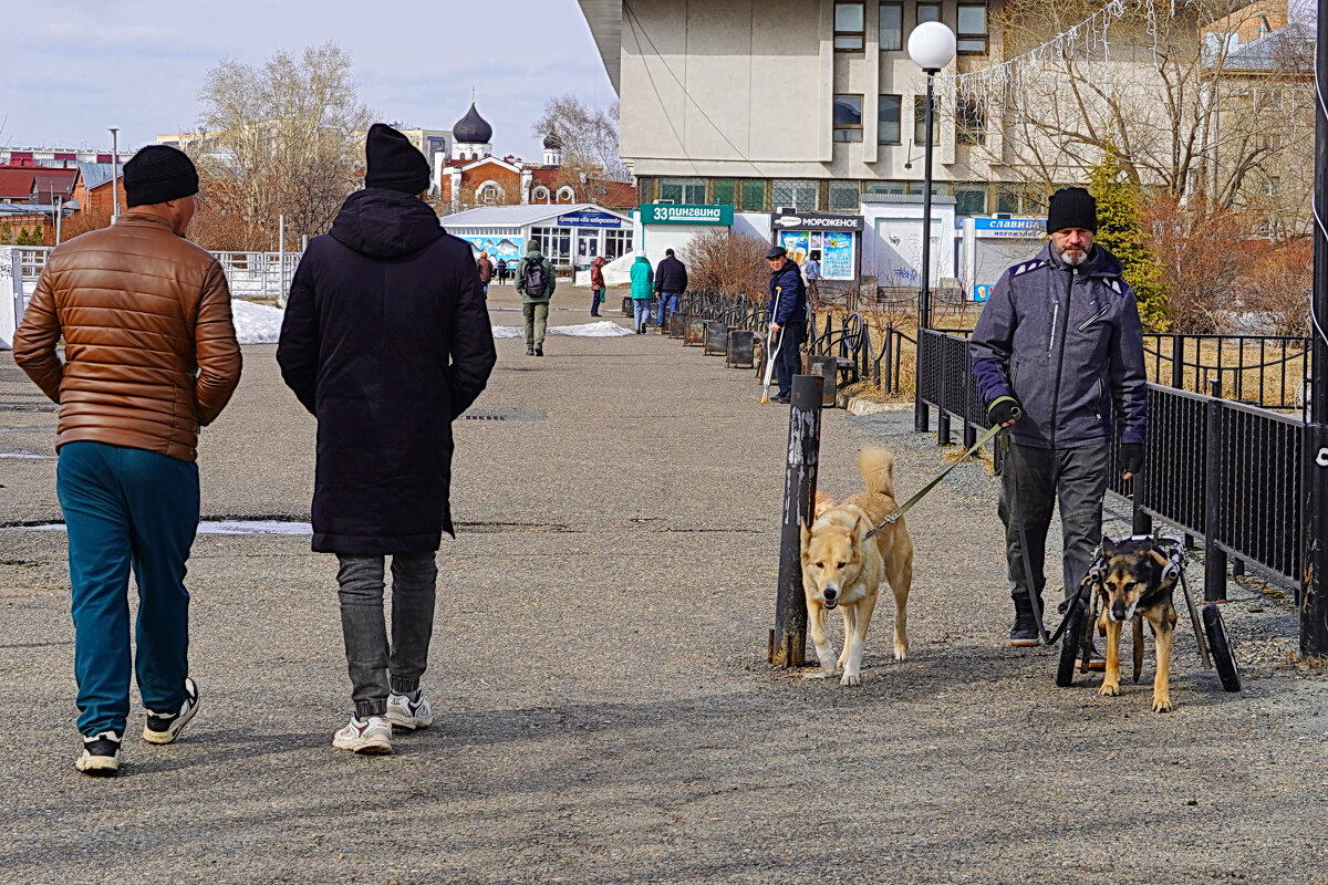 Трогательная встреча - Галина Кан