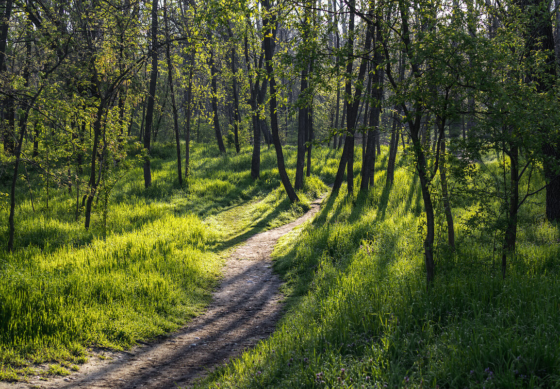 Тропа - Игорь Протасов
