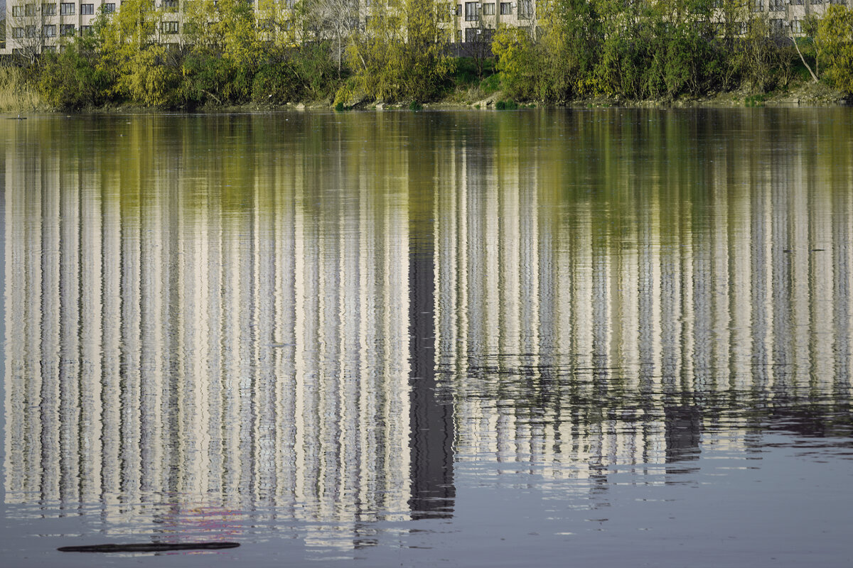 Отражение - Игорь Протасов