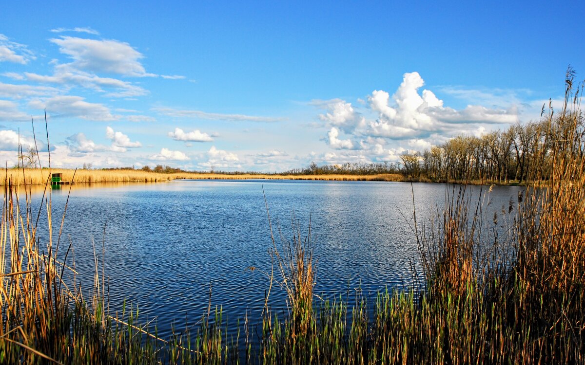 Ранняя весна. - Владимир 