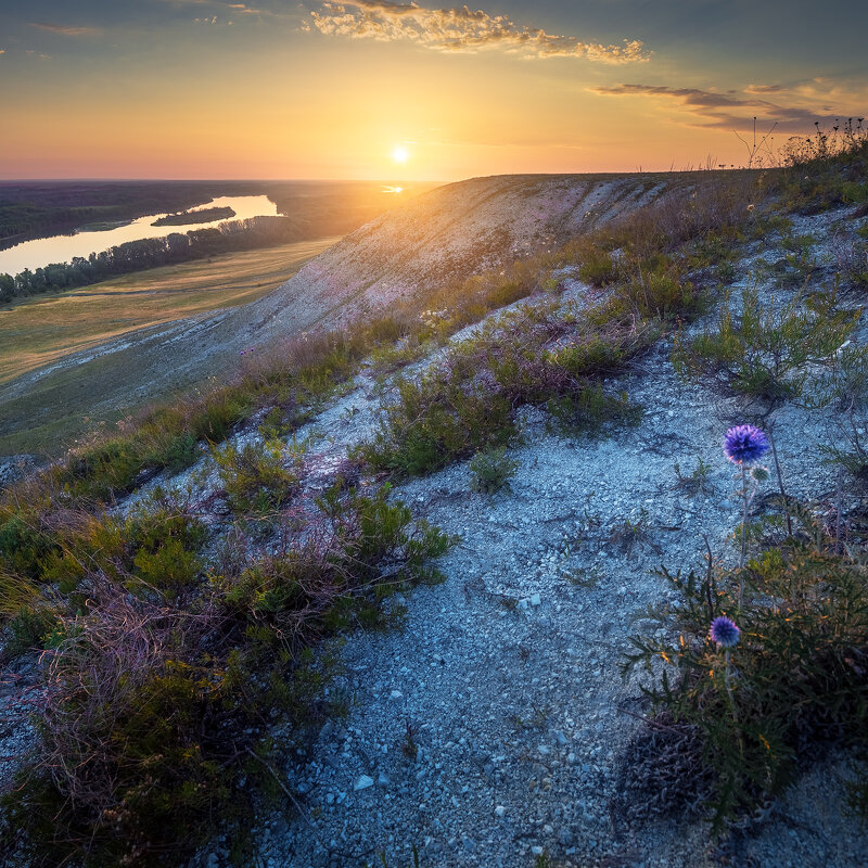 Золотой рассвет в Донском парке - Сергей Попрошаев