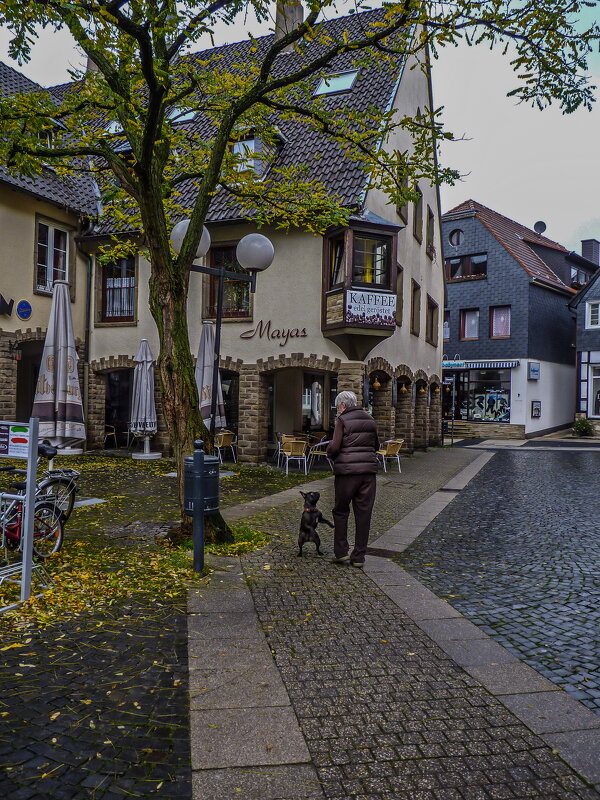 Из жизни собачьей... - Наталья Rosenwasser