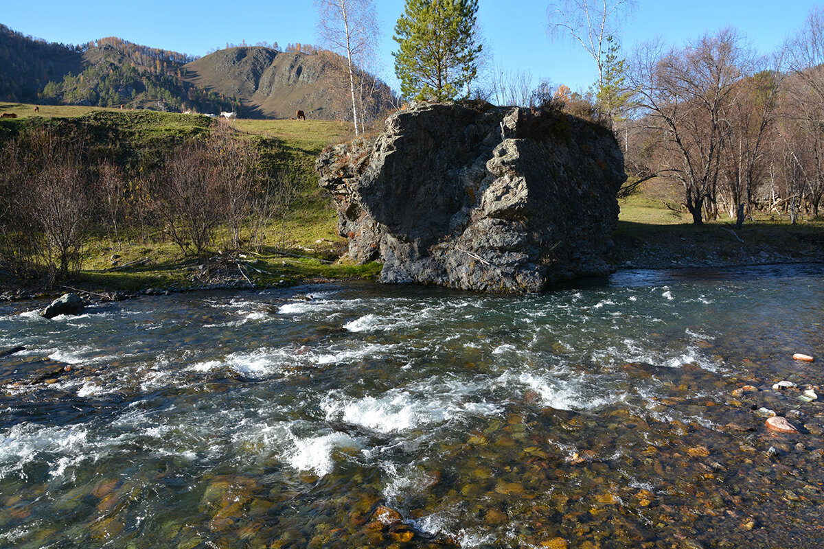 По р.Чемал - Валерий Медведев