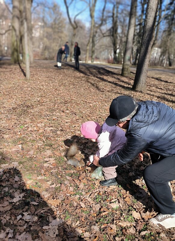 На Елагином острове. - Ольга 