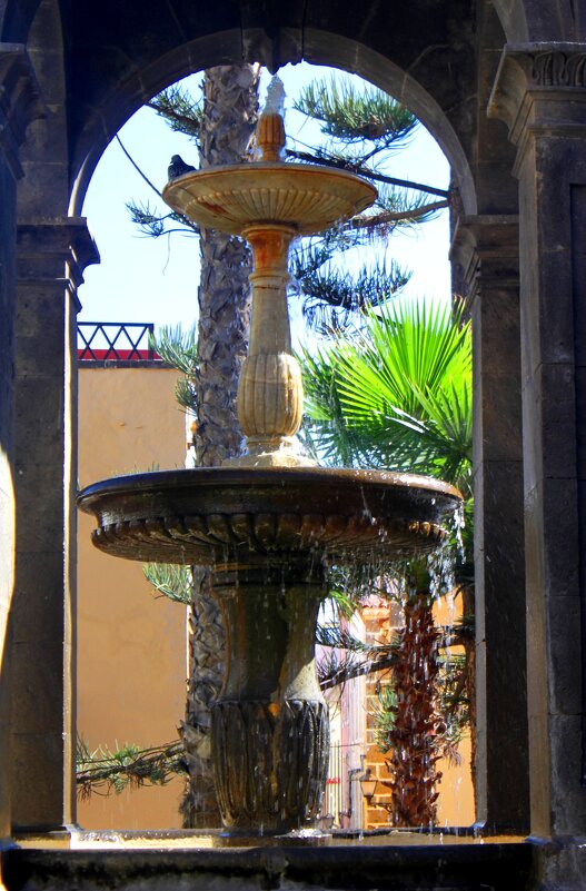 Лас-Пальмас - Savayr 