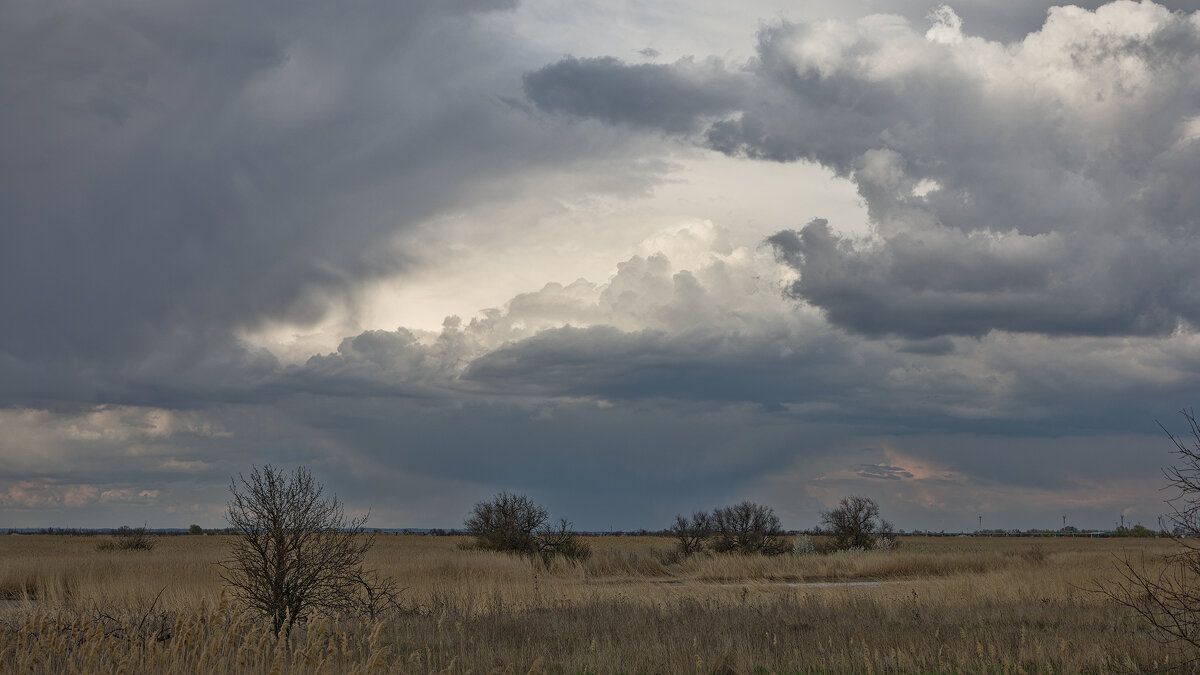 *** - Александр Бекетов