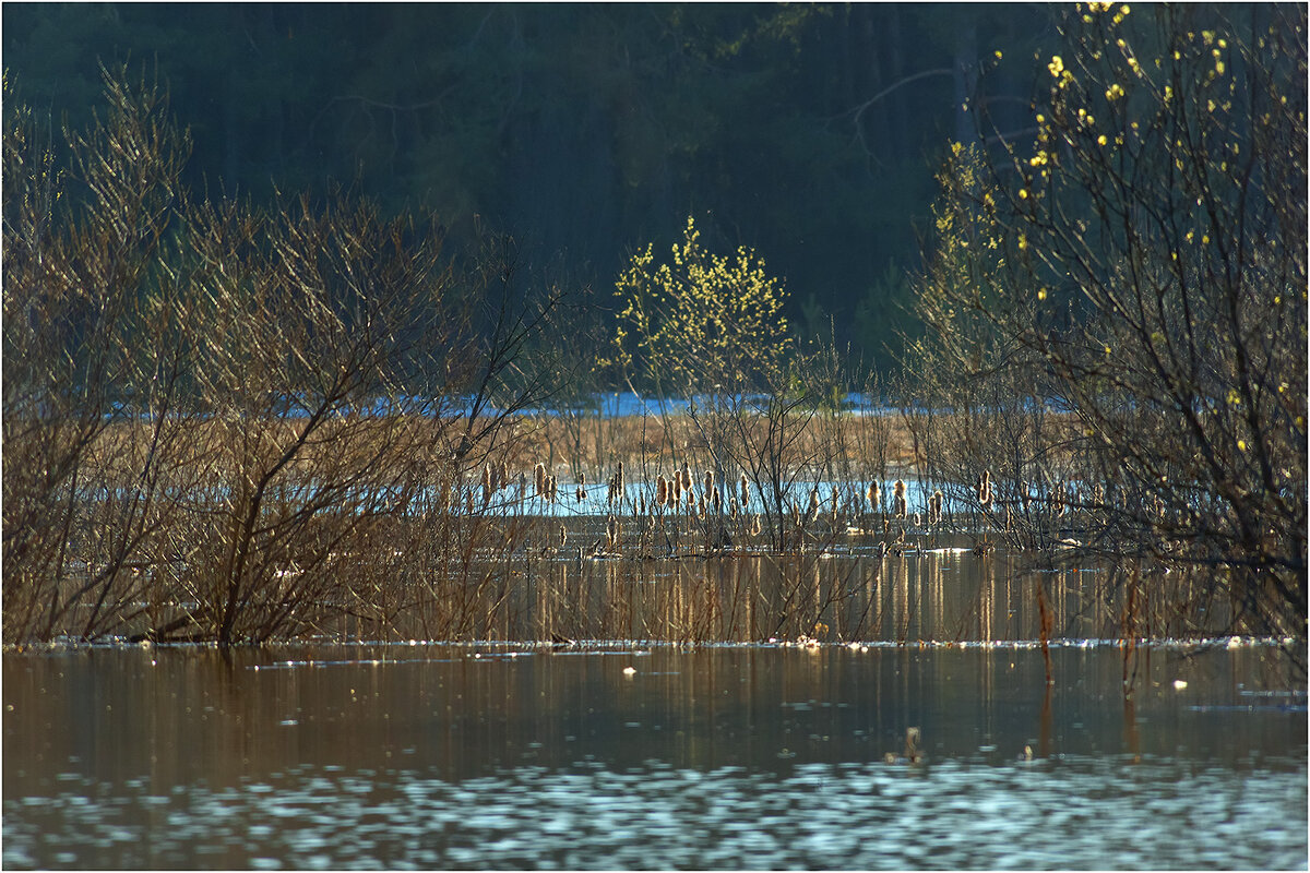 Весенний этюд - Валентин Котляров