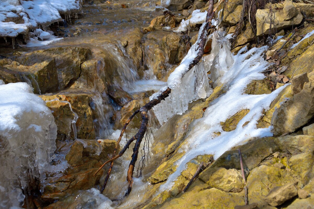 - - Владимир Мигонькин