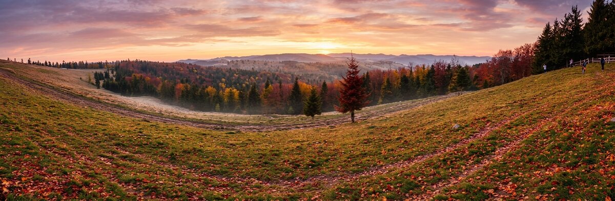 Отредактировано с ИИ - Роман Савоцкий