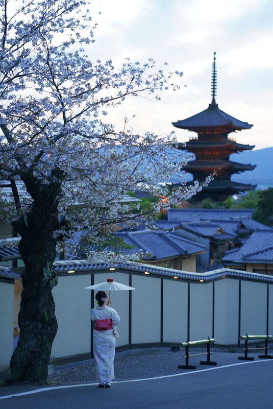 Улочки Киото в Японии. - Liliya 