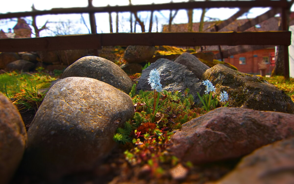 *** - Геннадий Порохов