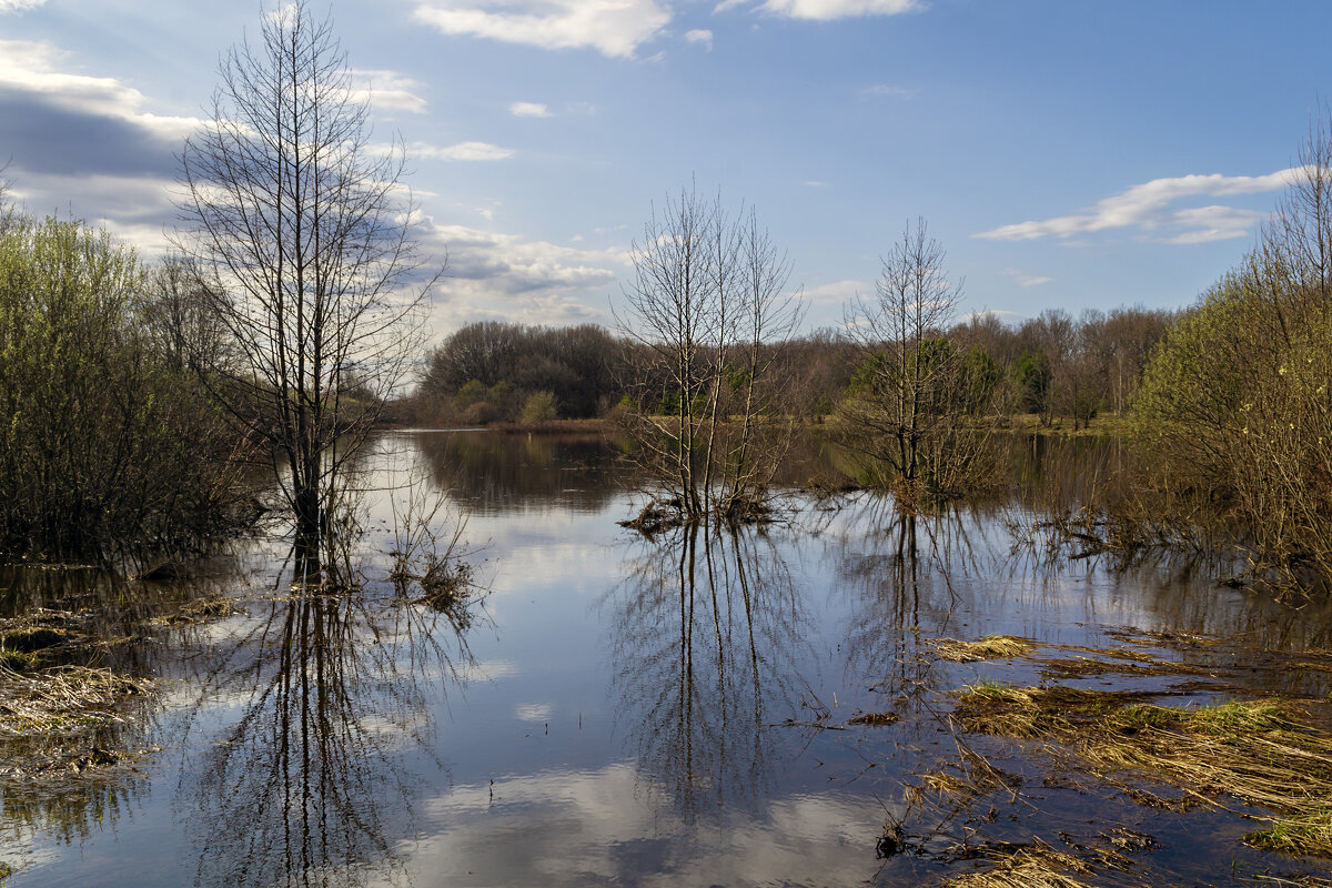 Разлив - Сергей Цветков