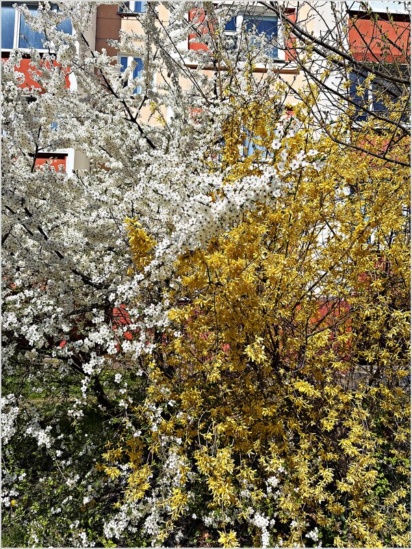 Весеннее..... - Валерия Комова