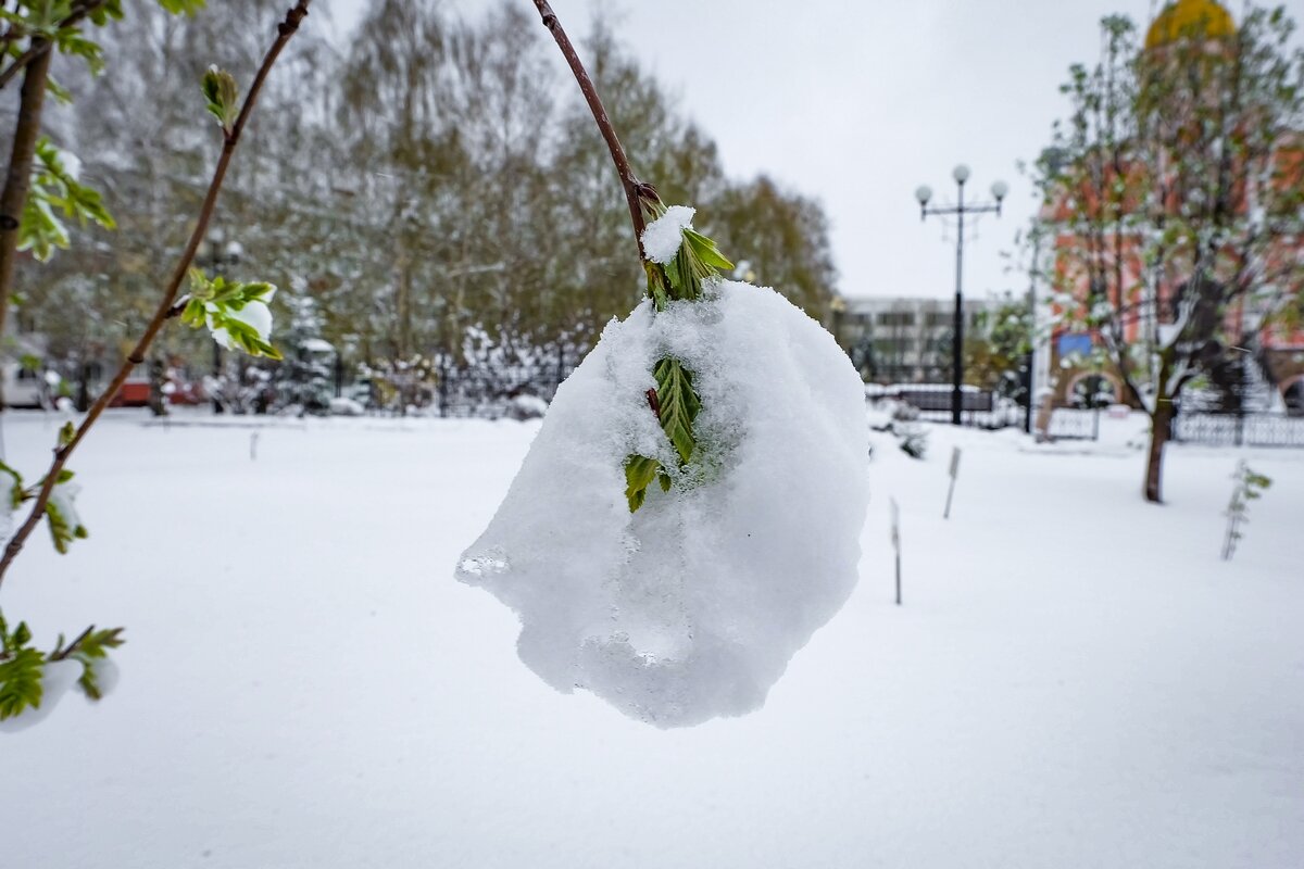 19 Апреля 2017 года город Белгород ... - Ravile 