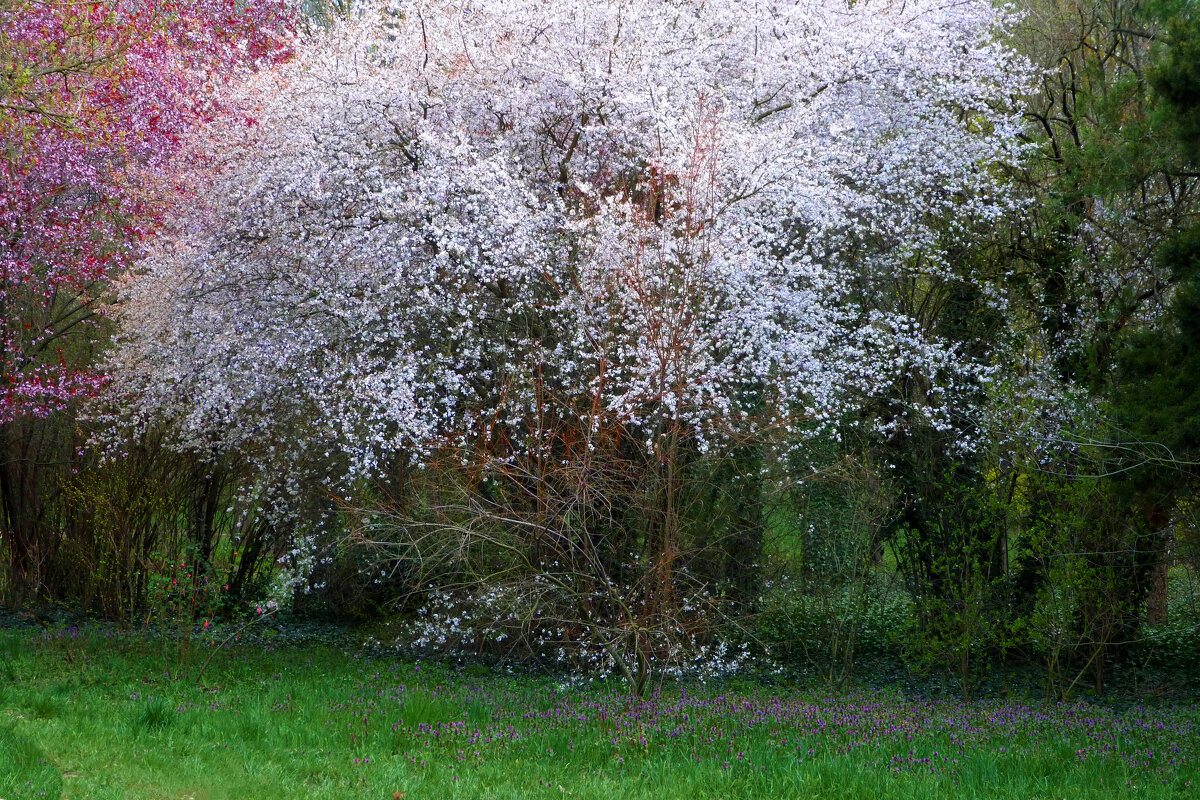 Весна в парке Гагарина - Валентин Семчишин