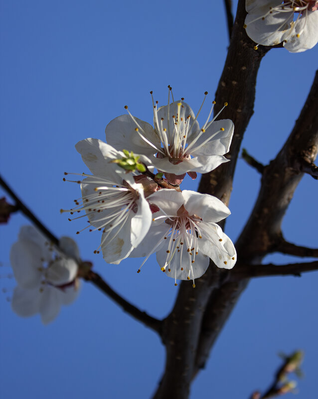 *** - Александр. AVG100 ---