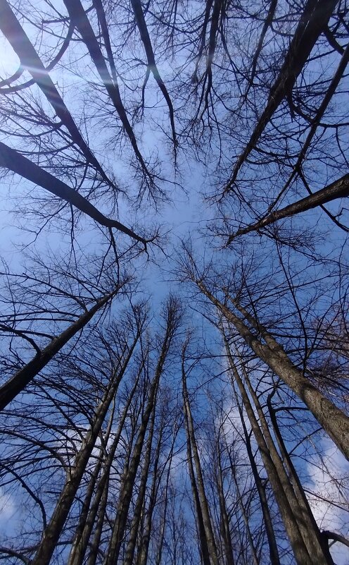 Небо и высота - светлана льдокова