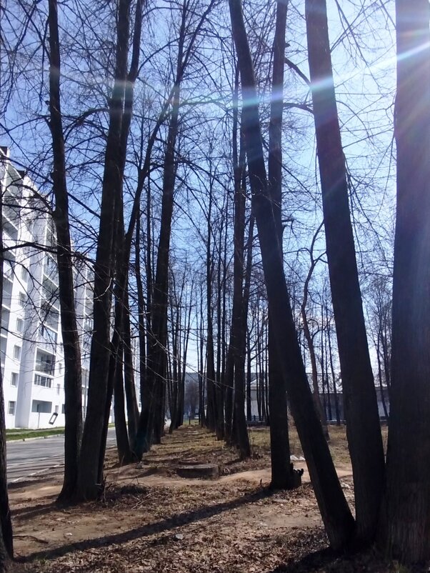 Весенний вайб - светлана льдокова