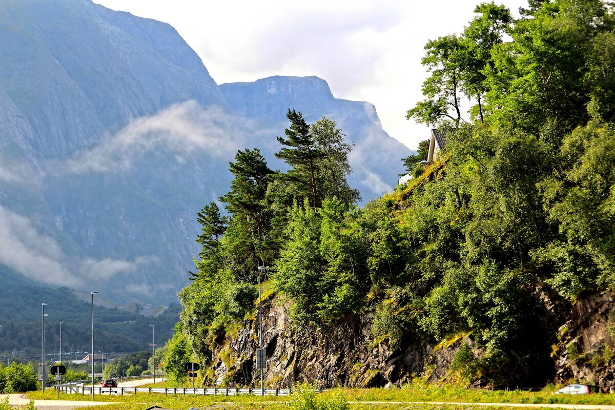 Природа фьордов - В.И 