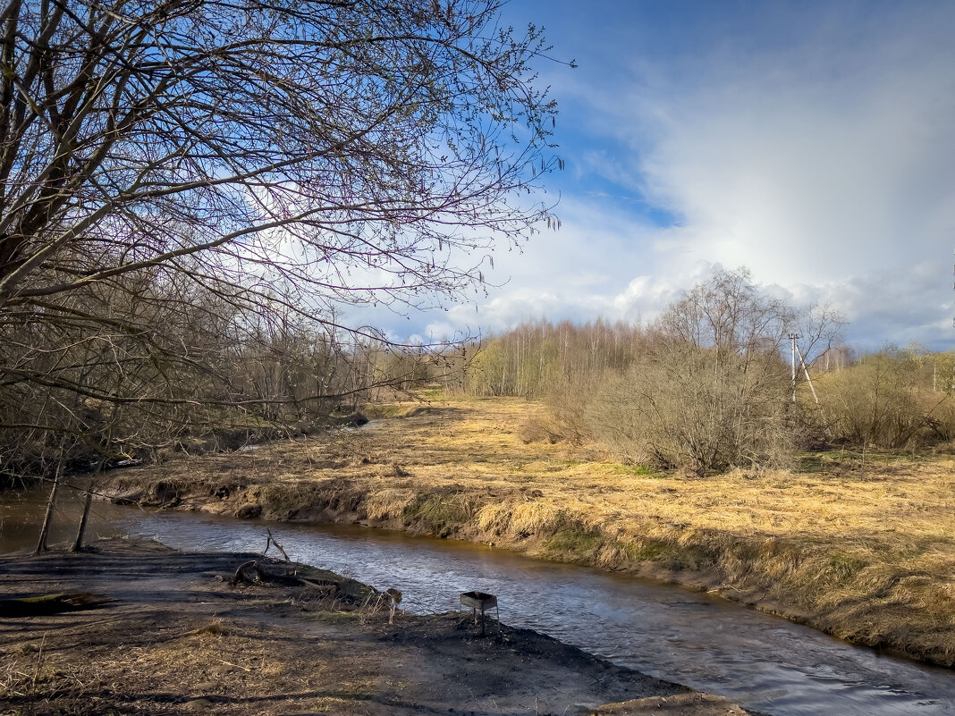 Весна идет - Олег Дорошенко