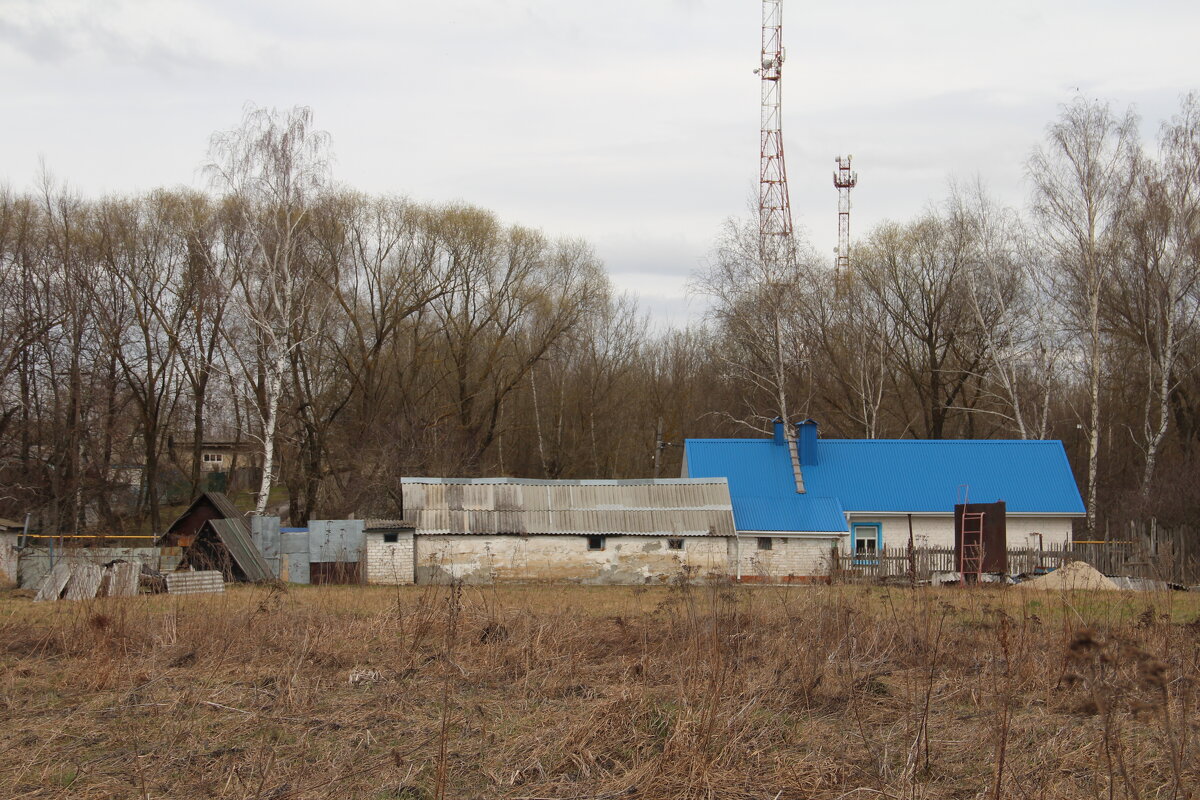 Под крышей голубой... - Елена Минина